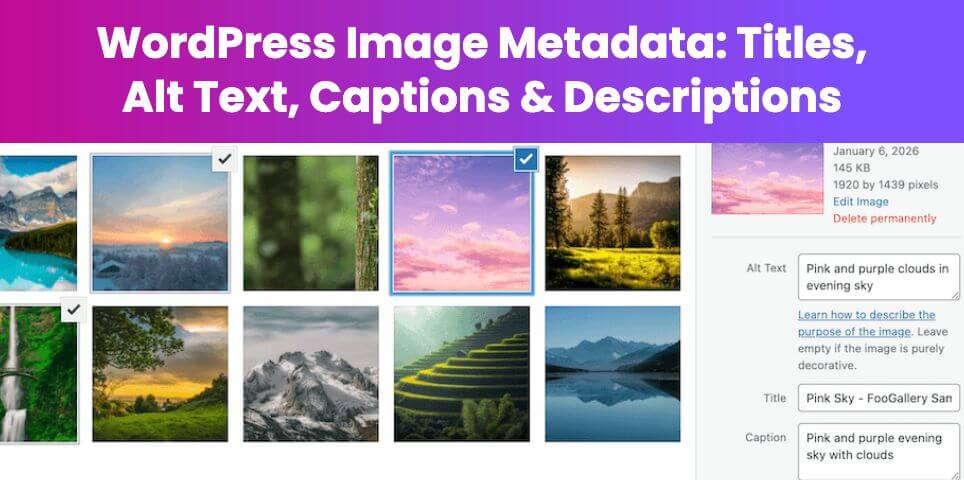 WordPress Image Metadata: Titles, Alt Text, Captions & Descriptions
