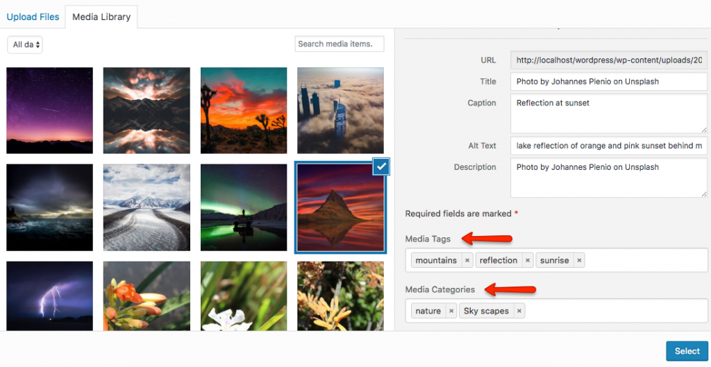 Gallery Filtering add media tags and media categories