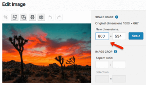 Optimize images by scaling them down