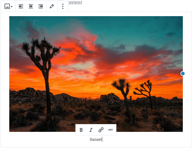 Edit image in Gutenberg