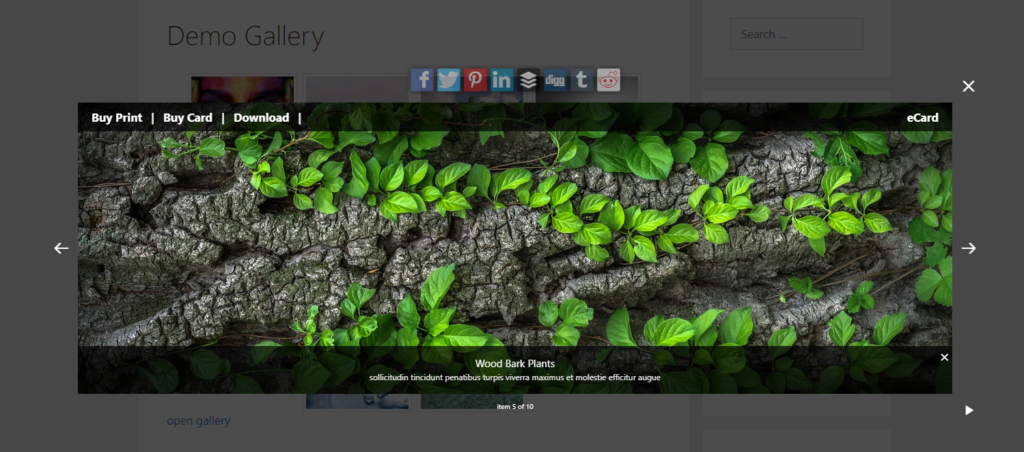 Sell photos online with Fotomoto and FooBox Pro
