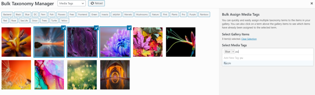 Adding tags to gallery images
