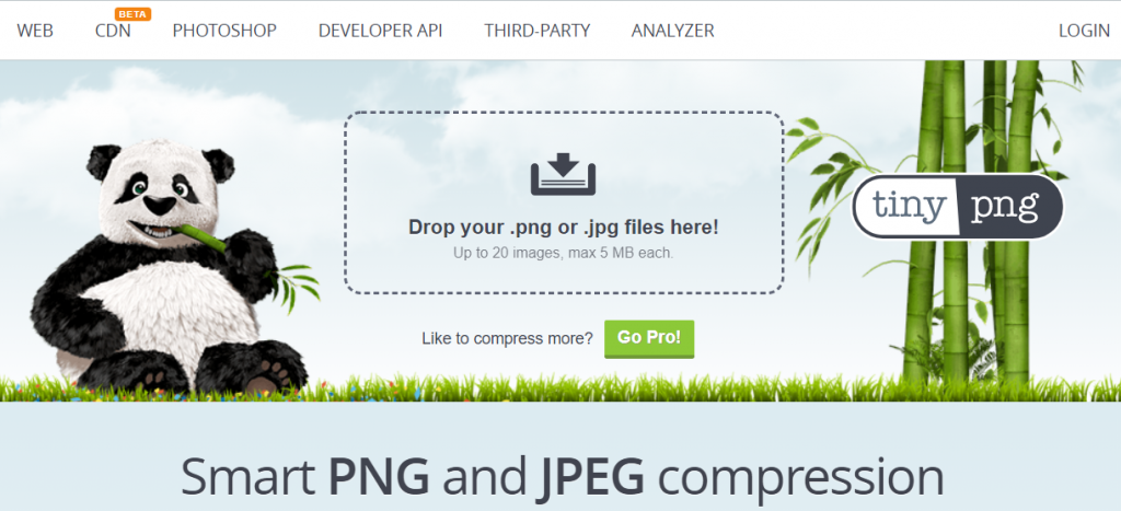 Tiny PNG