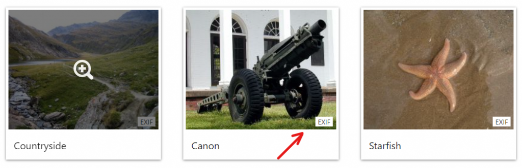 EXIF Icon on gallery thumbnails