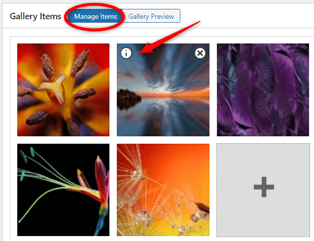 Edit image by clicking on 'i' in Manage Items tab