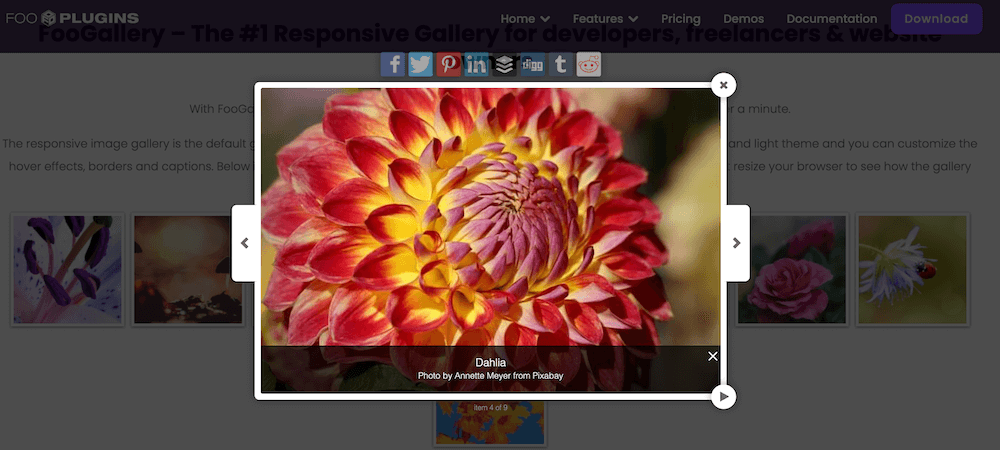 FooBox: example of lightbox in WordPress