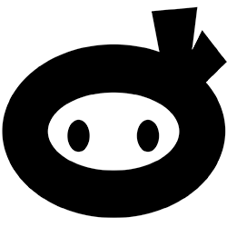 Security Ninja