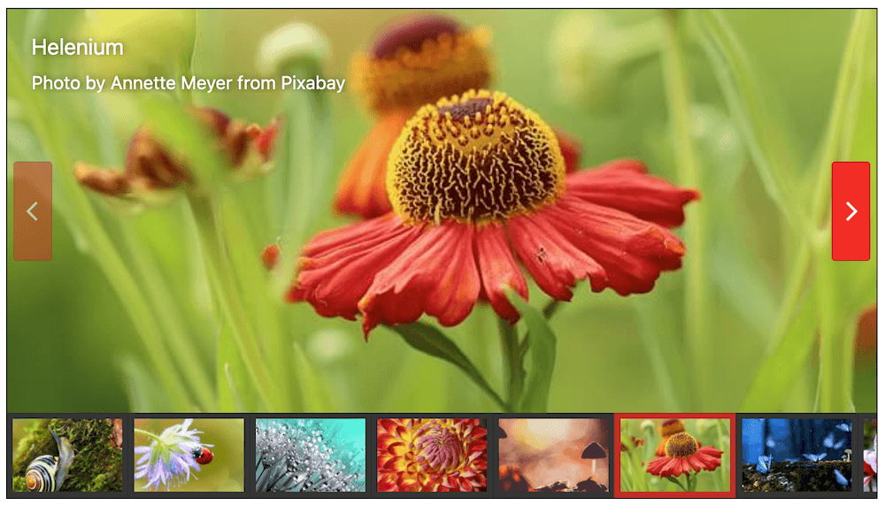 slider gallery layout for Foogallery