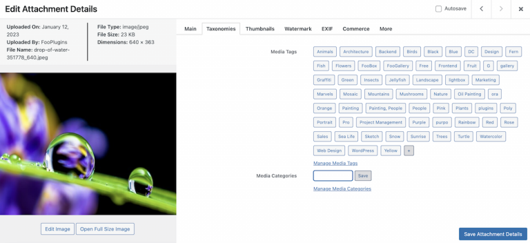 Using The Advanced Attachment Modal - FooPlugins