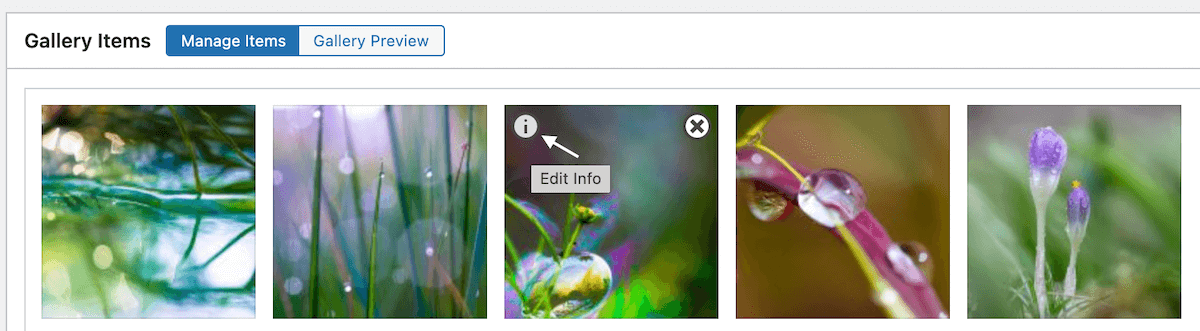 Editing an image in FooGallery