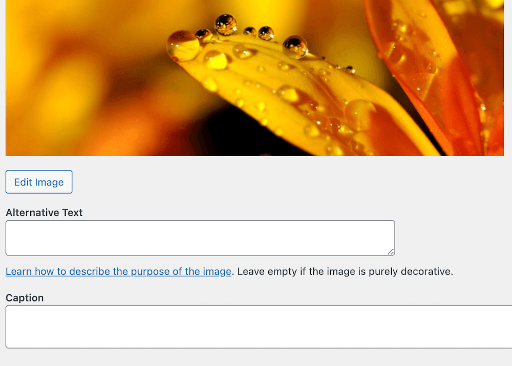 You can add metadata like alternative text and captions when editing an image in WordPress