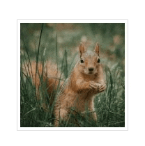 Darkening the thumbnail on hover
