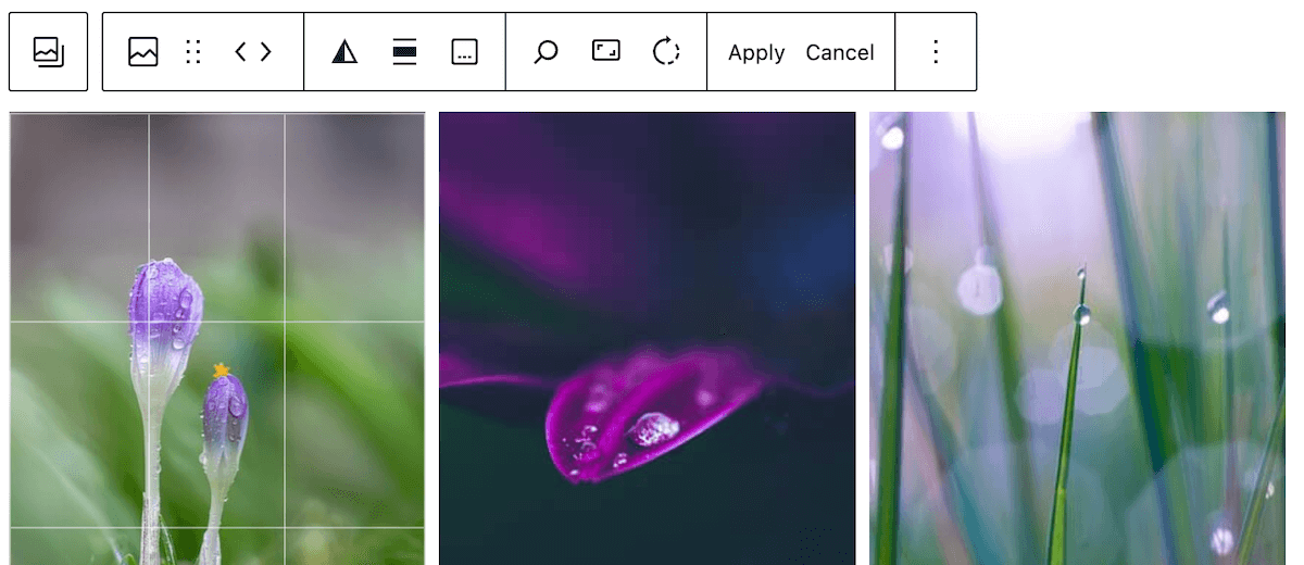 Edit images in Gutenberg gallery