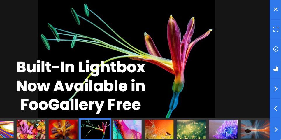 [News] Built-In Lightbox Now Available in FooGallery Free