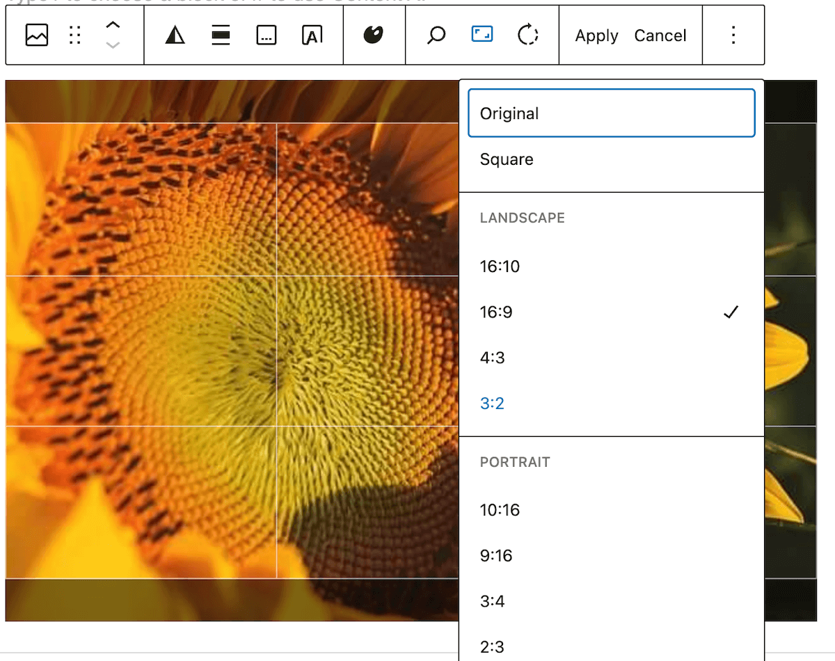 crop image in the page editor