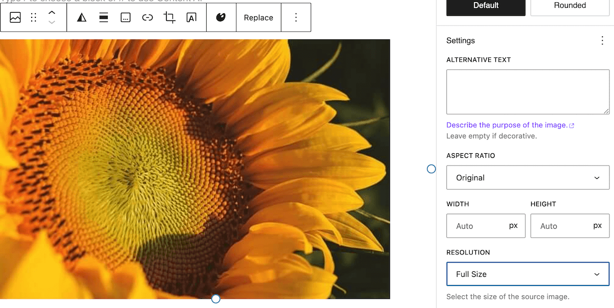 Resize image in Gutenberg editor