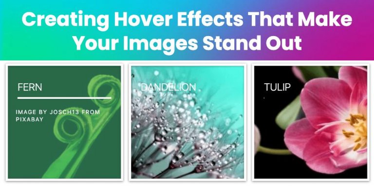 Quickly Add Hover Effects To Images: Easy CSS Guide