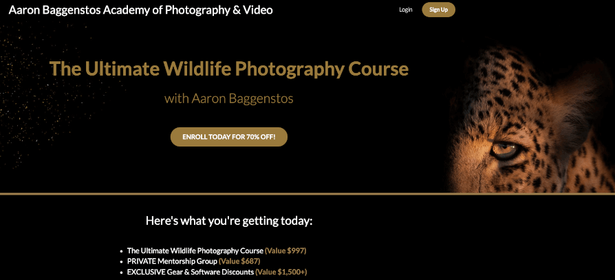 Aaron’s Baggenstos’s Ultimate Wildlife Photography sale page