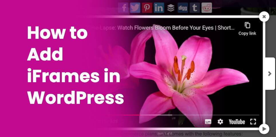 How to Add iFrames in WordPress