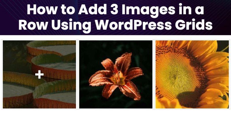 How to Add 3 Images in a Row Using WordPress Grids