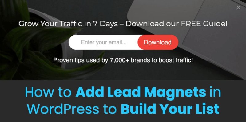 How to Add Lead Magnets in WordPress to Build Your List