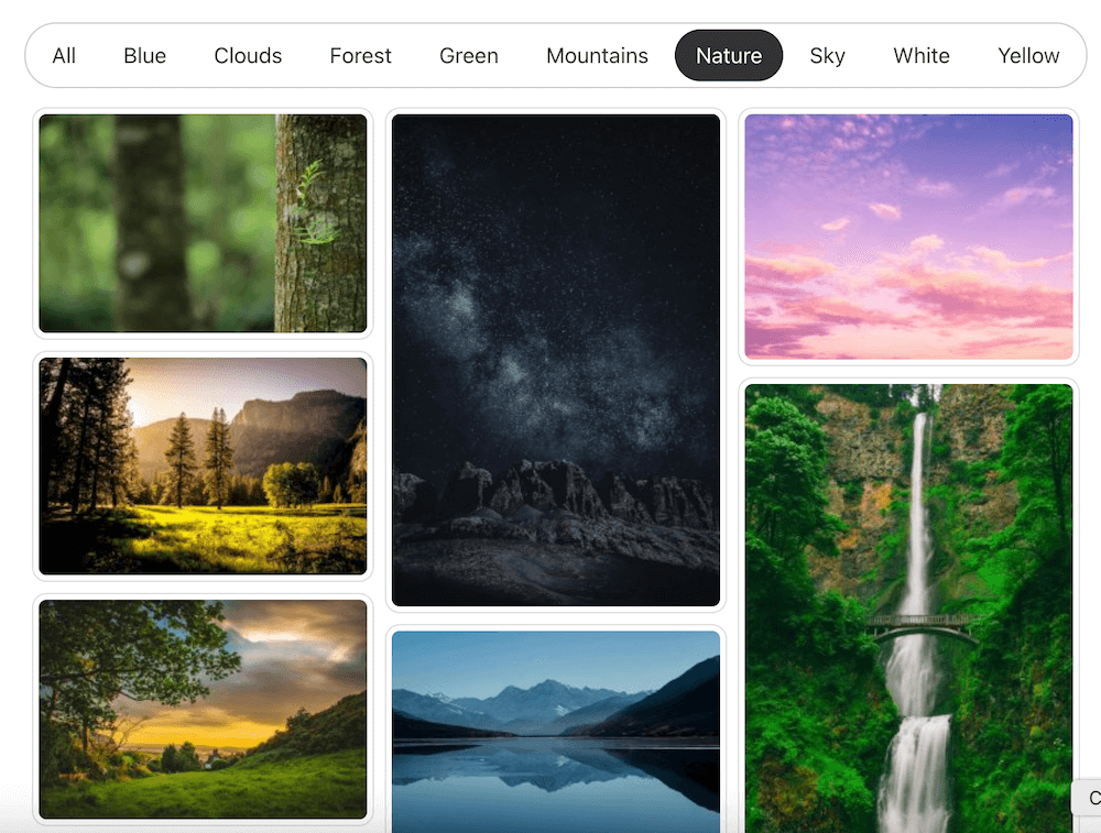 Gallery filtering with a Masonry layout in FooGallery PRO Expert