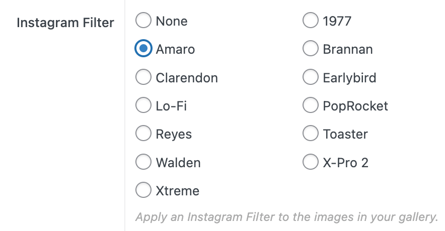 FooGallery PRO Starter image filters