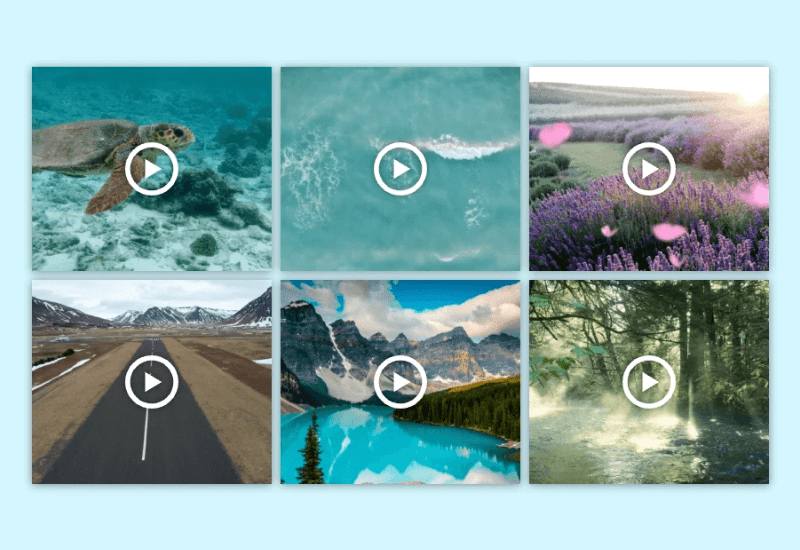 FooGallery video gallery preview