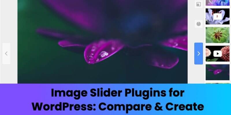 Image Slider Plugins for WordPress: Compare & Create