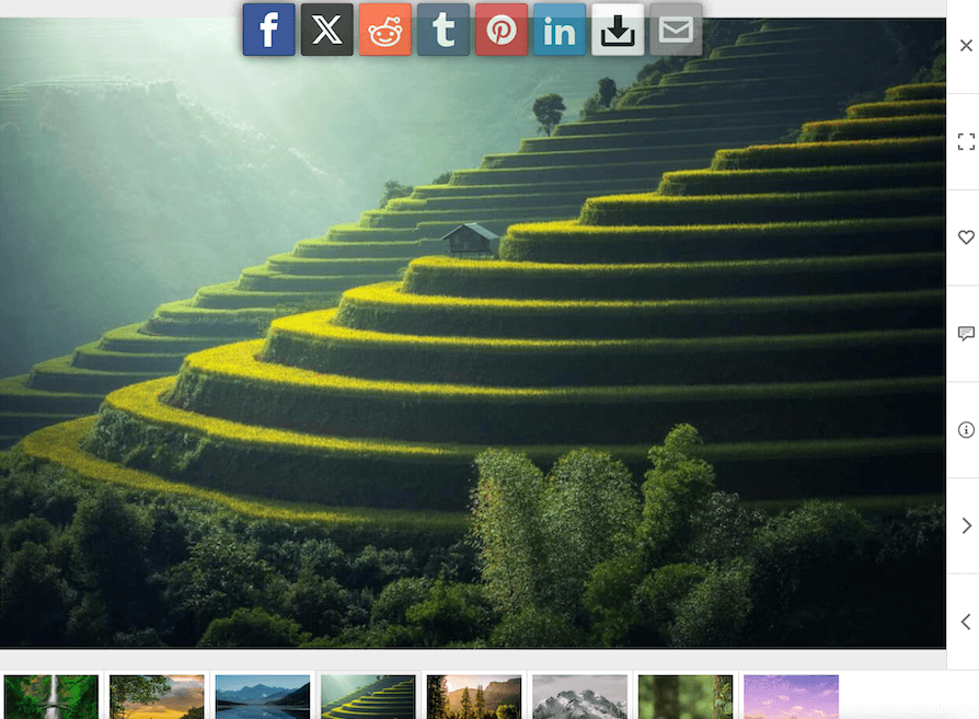 Social sharing in FooGallery