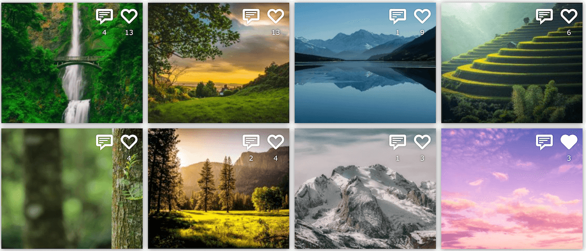 Like and Comment counts in FooGallery Social