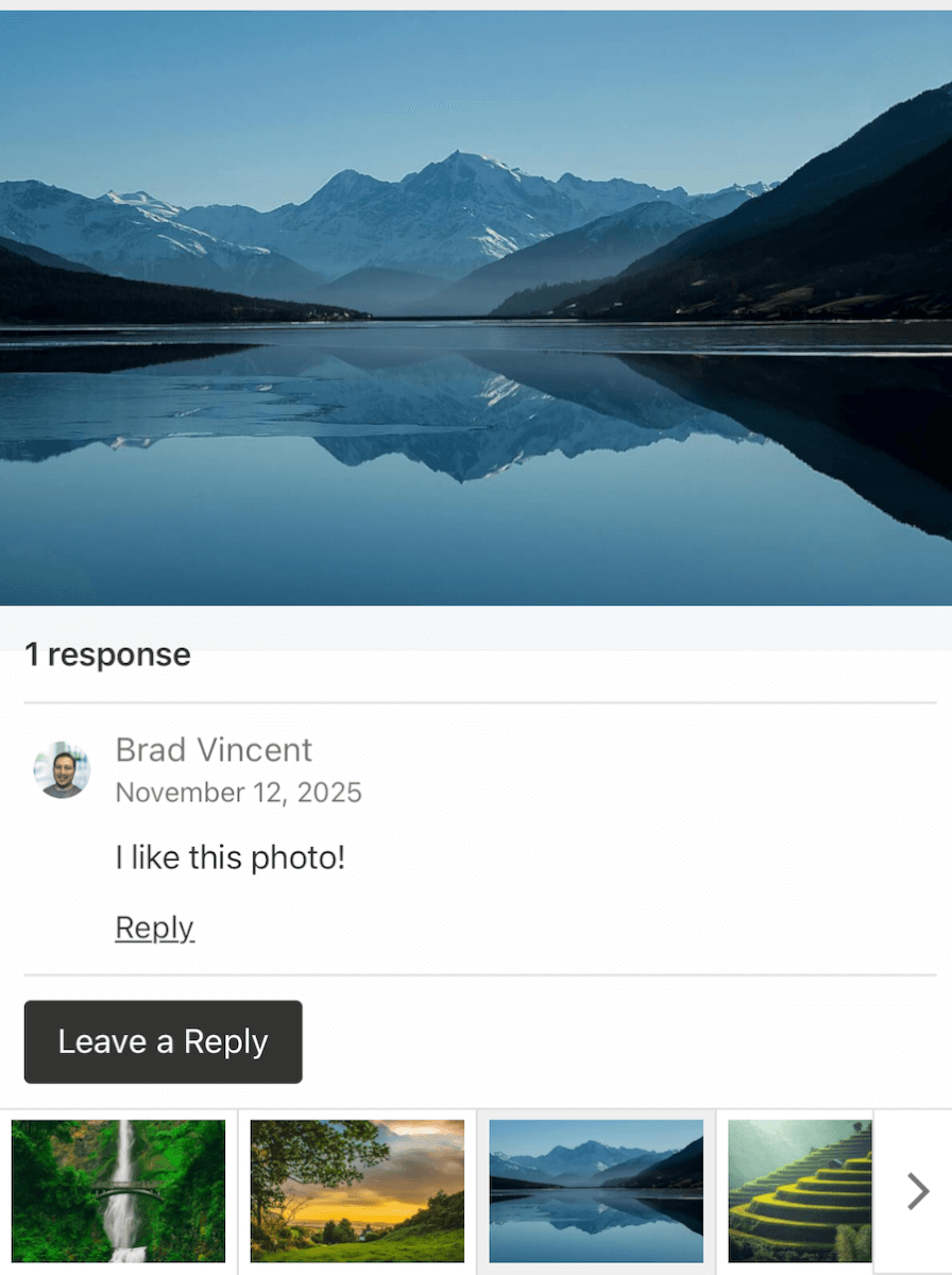 FooGallery Social - comments displayed on mobile device