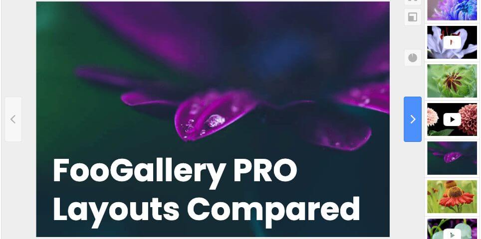 FooGallery PRO Layouts Compared: Grid, Slider, Polaroid, and Spotlight
