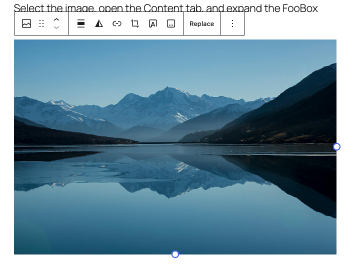 A FooBox-enabled Image block outlined in the editor