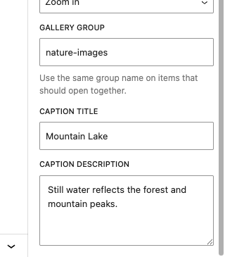 Gallery group and explicit caption fields for an Image block