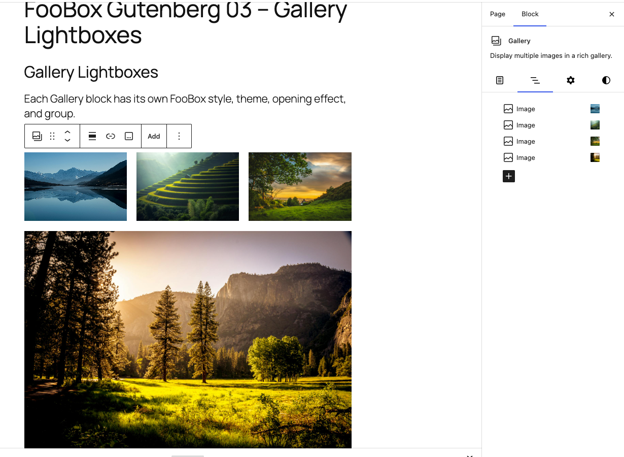 The outer Gallery block selected in Gutenberg