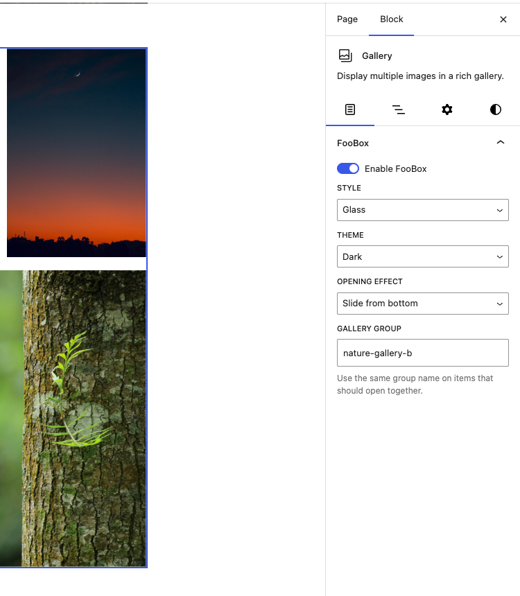 Two Gallery blocks configured independently in the editor