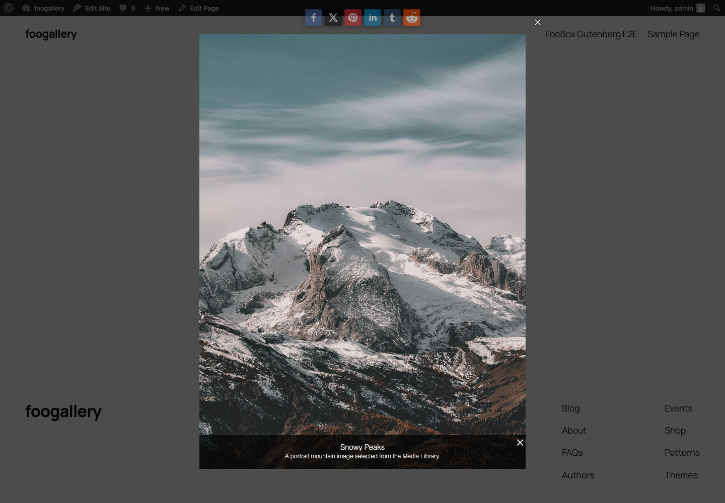 An image opened in FooBox from a Button block
