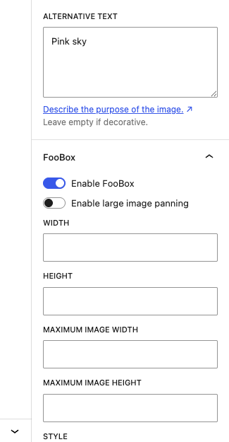 A converted core Image block showing the FooBox controls