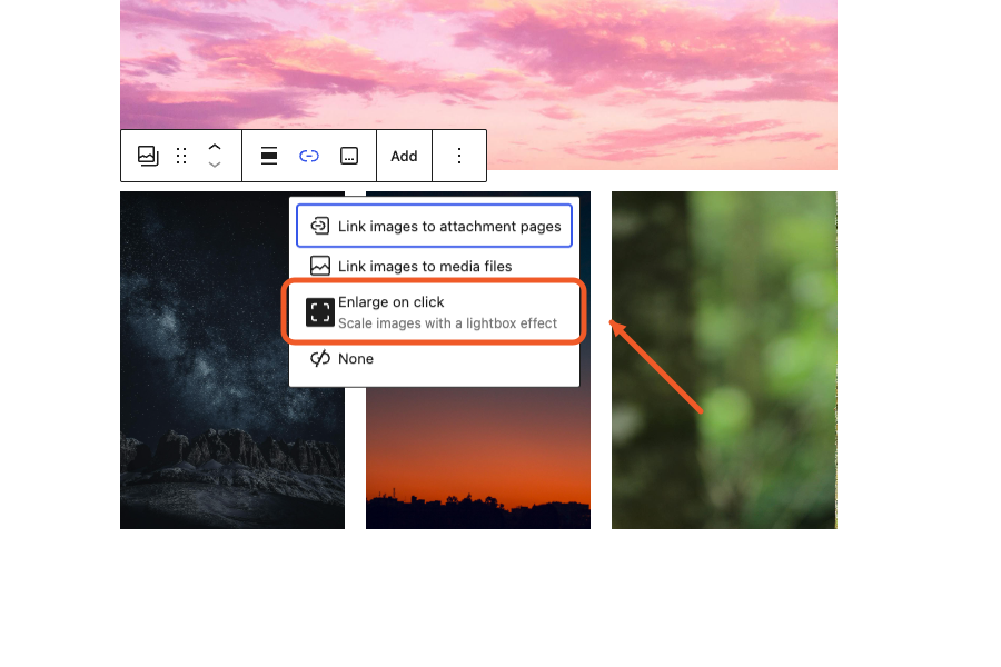 The native WordPress Gallery lightbox link option