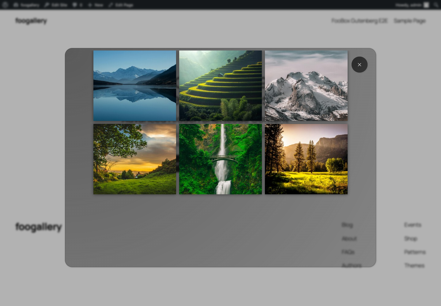 A rendered FooGallery displayed inside a FooBox HTML lightbox