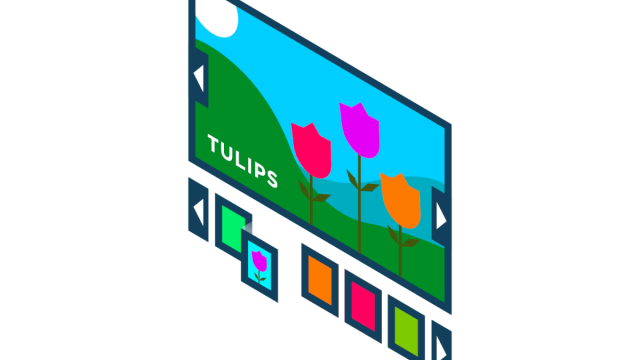 PRO Lightbox FooGallery Feature - PRO Lightbox