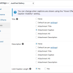 Captions Settings Captions settings