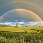 rainbows