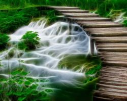 Image by Frank Winkler from Pixabay Image by Frank Winkler from Pixabay