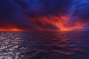 Image by Susan Cipriano from Pixabay Image by Susan Cipriano from Pixabay