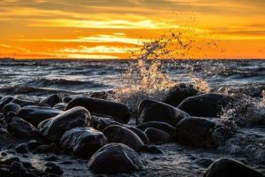 Image by Егор Камелев from Pixabay Image by Егор Камелев from Pixabay