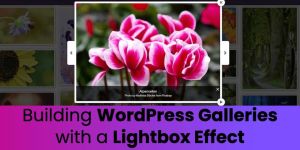 How to Create a Lightbox Effect on WordPress Image Galleries How to Create a Lightbox Effect on WordPress Image Galleries