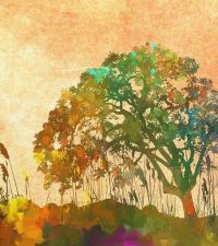 Tree Image by natureworks from Pixabay