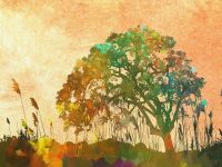 Tree Image by natureworks from Pixabay